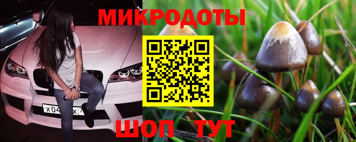 купить наркотики сайты  Псилоцибиновые грибы прущие грибы  Псилоцибиновые грибы мухоморы  Вход с VPN  Междуреченск 